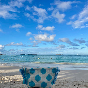 La Plage Ruffle Pouch Aqua Ikat