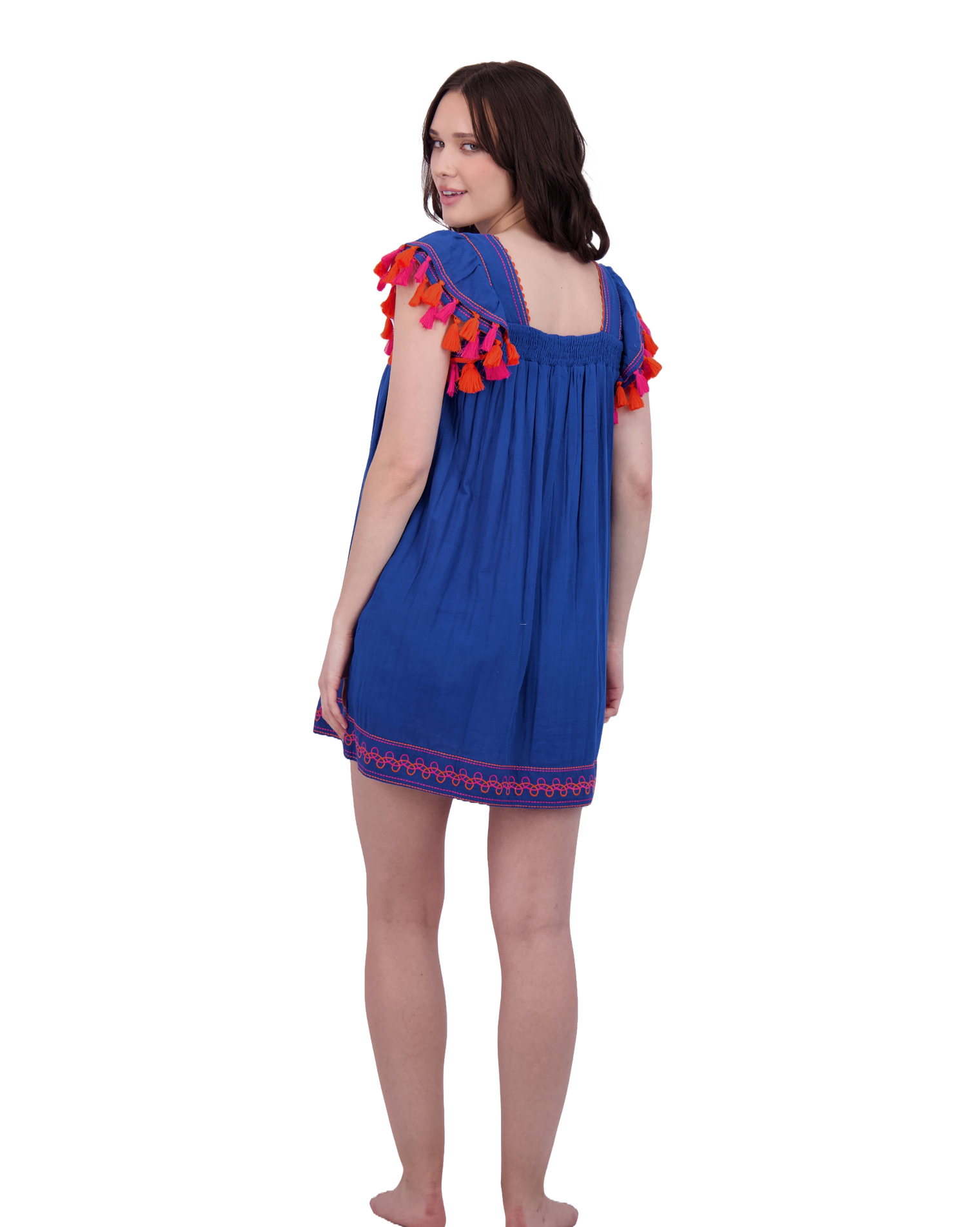 Mini Sandrine Women's Dress Classic Blue Embroidery