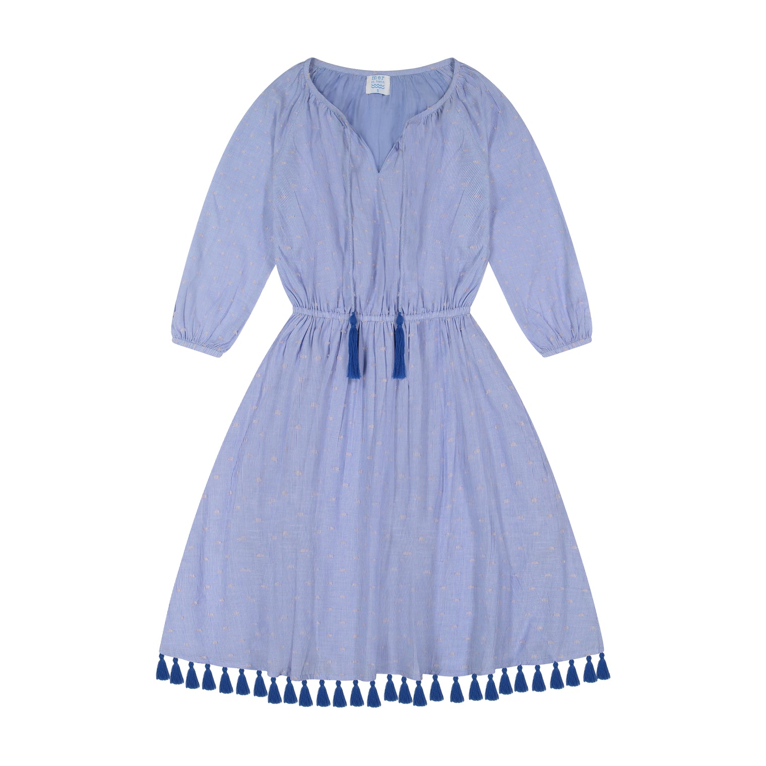 Solange Women's Popover Dress Blue Stripe Swiss Dot